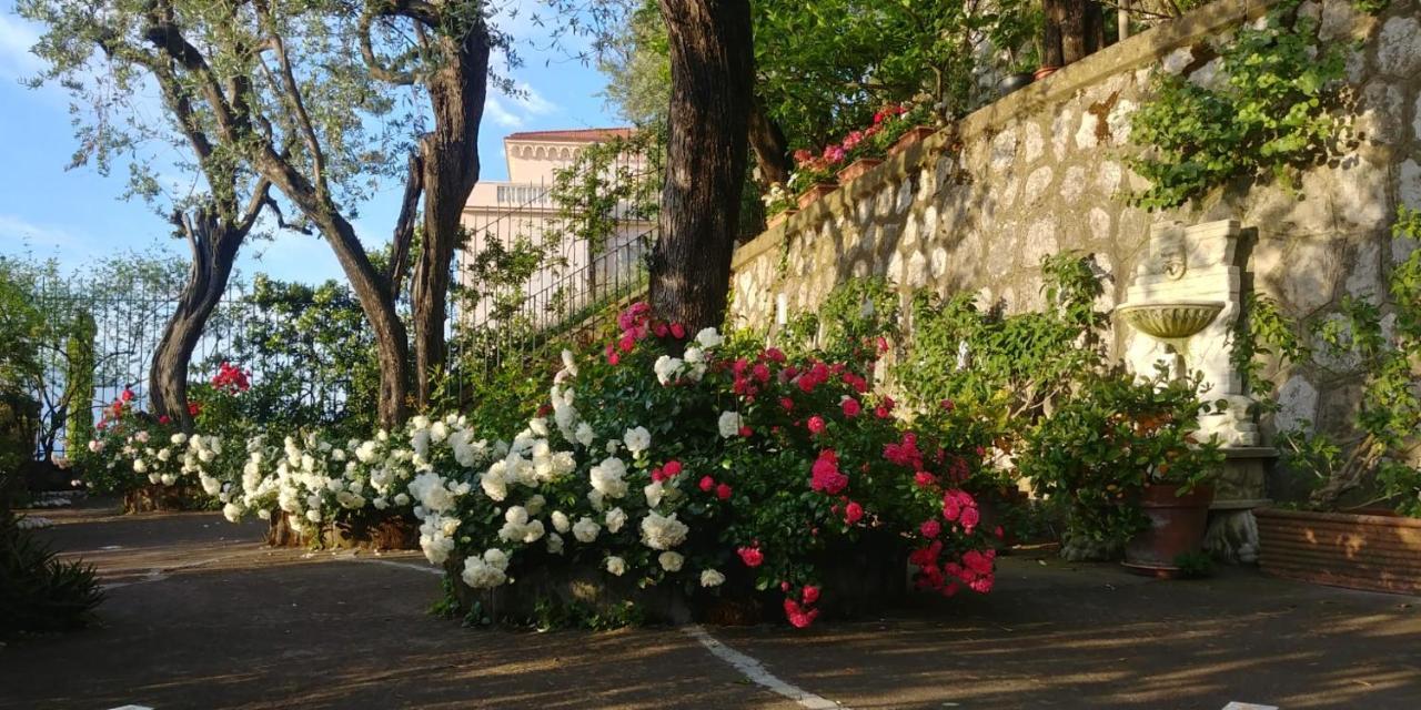 Villa L'Ulivina Sorrento Eksteriør bilde