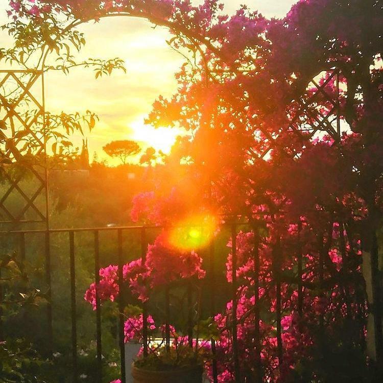 Villa L'Ulivina Sorrento Eksteriør bilde