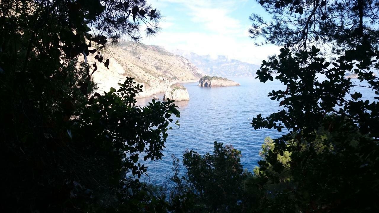 Villa L'Ulivina Sorrento Eksteriør bilde