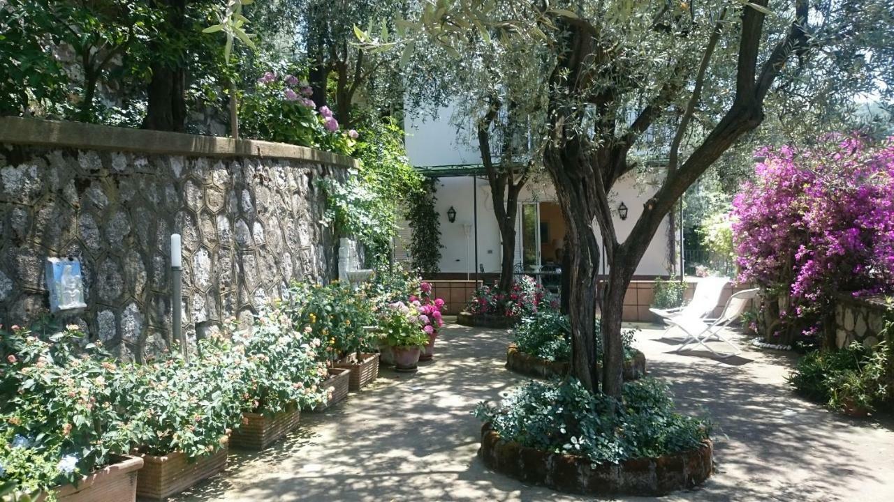 Villa L'Ulivina Sorrento Eksteriør bilde