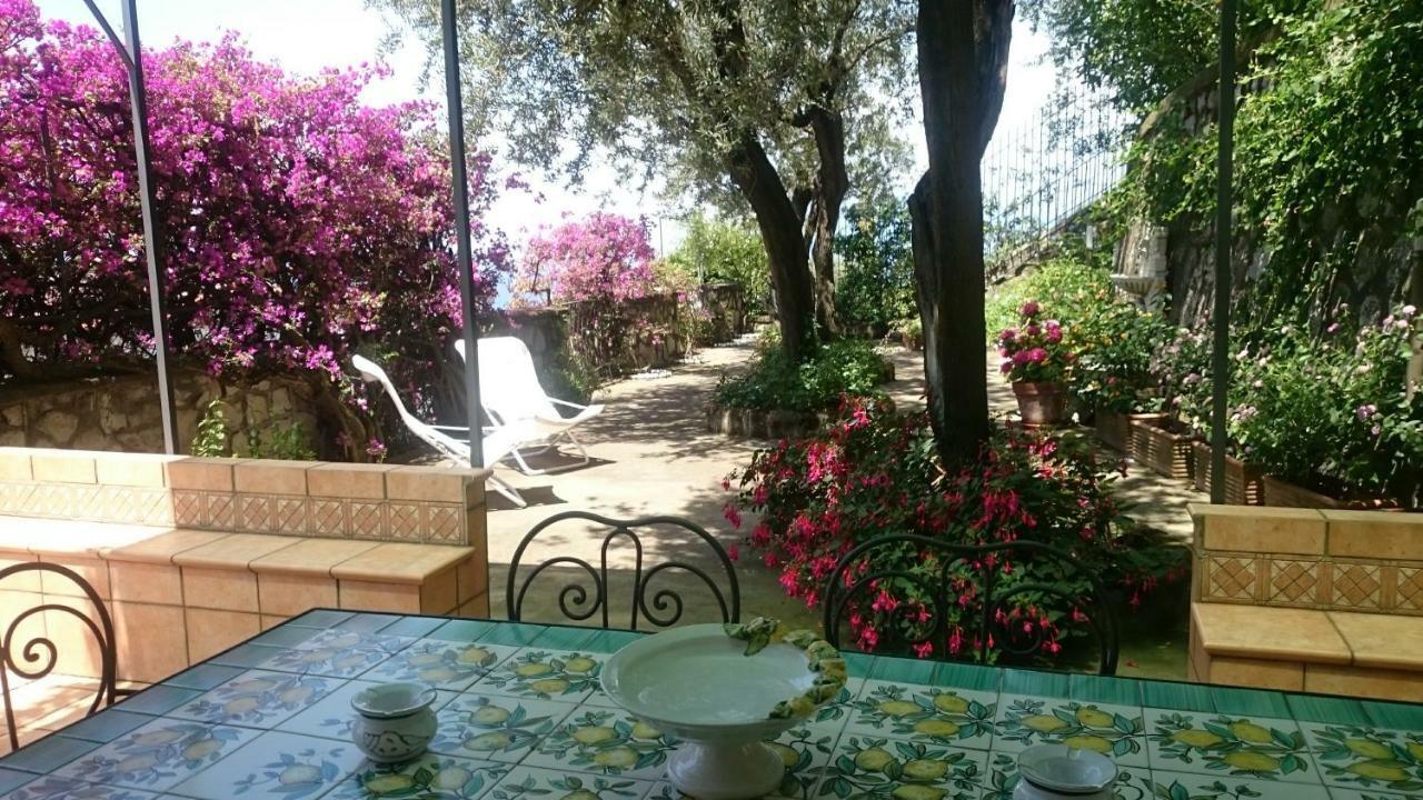 Villa L'Ulivina Sorrento Eksteriør bilde