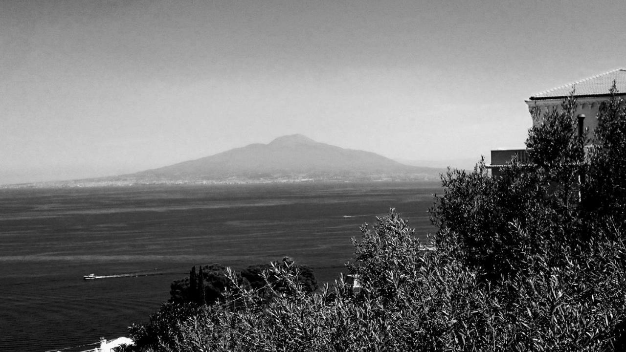 Villa L'Ulivina Sorrento Eksteriør bilde